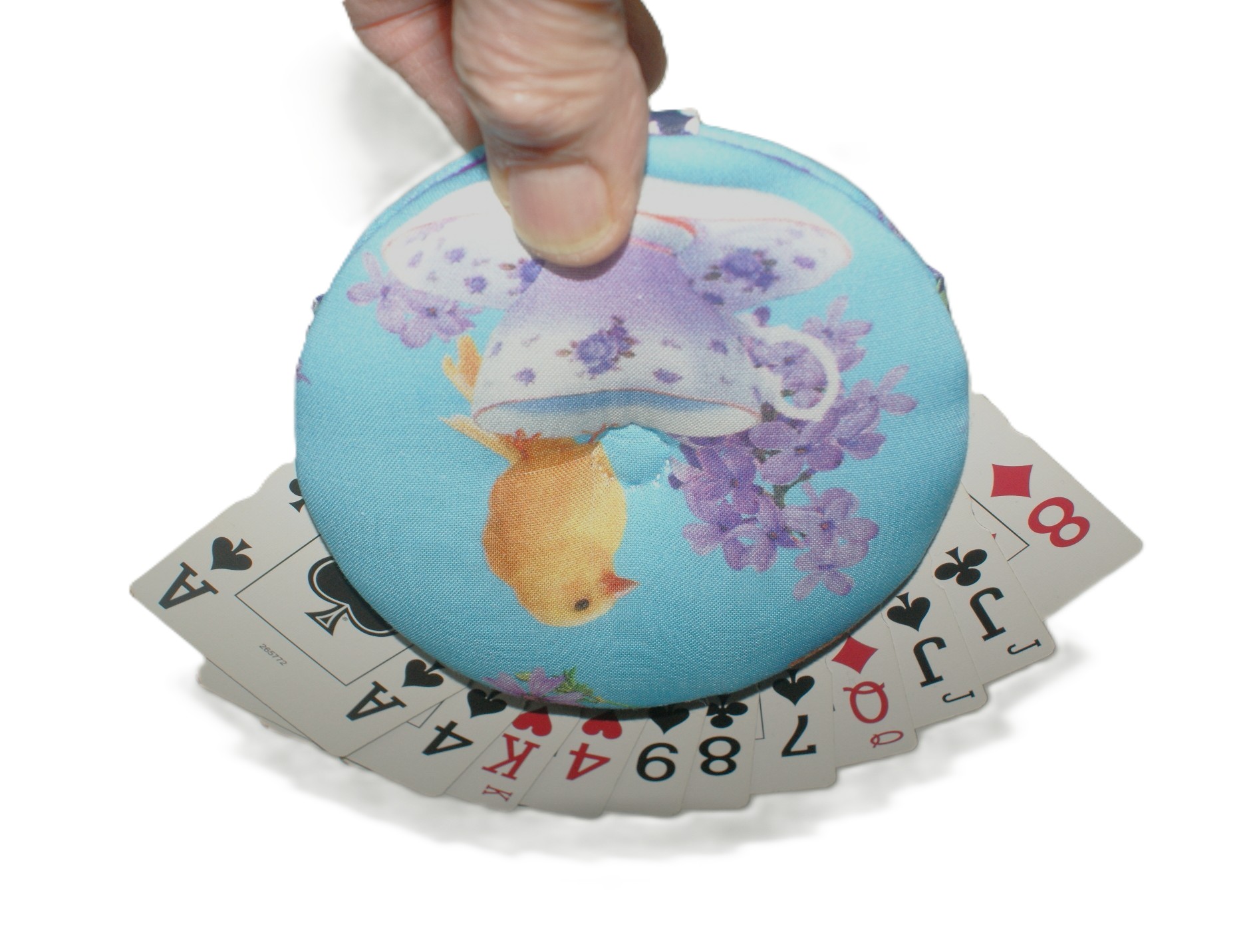 Teacup Canaries H&F - Image 6